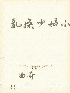 乱操少妇小说封面
