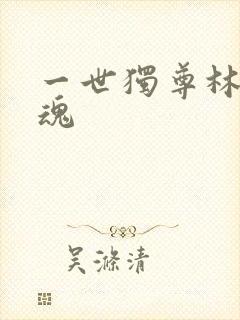 一世独尊林云武魂