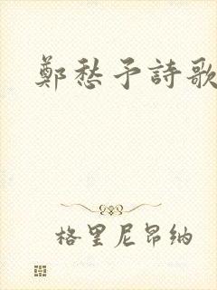 郑愁予诗歌特点封面