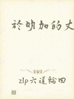 于明加的丈夫封面