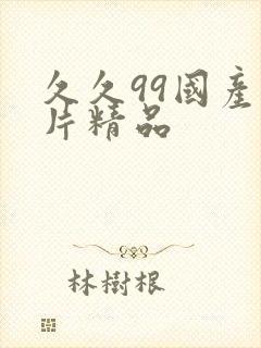 久久99国产毛片精品