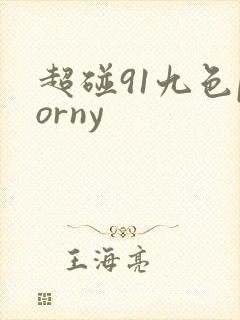超碰91九色porny