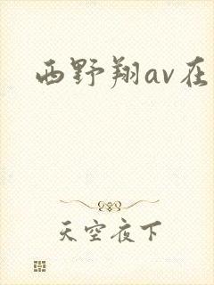 西野翔av在线
