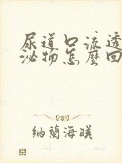 尿道口流透明分泌物怎么回事