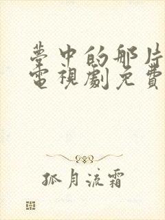 梦中的那片海 电视剧免费观看