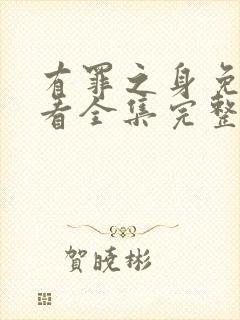 有罪之身免费观看全集完整版高清