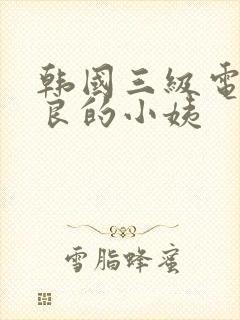 韩国三级电影善良的小姨封面
