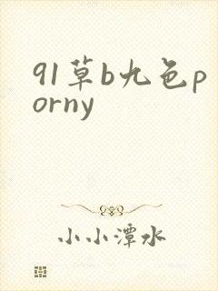 91草b九色porny