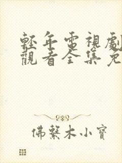 轻年电视剧在线观看全集免费高清