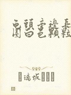 龟头旁边长了一圈白色颗粒状封面