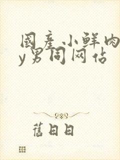 国产小鲜肉gay男同网站