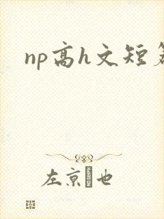 np高h文短篇