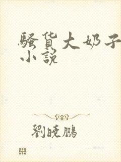 骚货大奶子言情小说封面