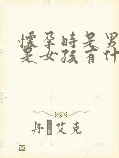 怀孕时是男孩还是女孩有什么特征吗