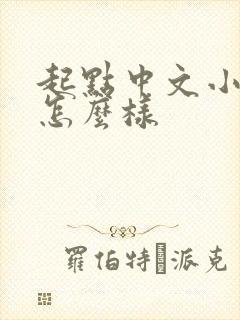 起点中文小说网怎么样