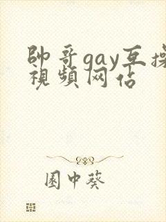 帅哥gay互操视频网站