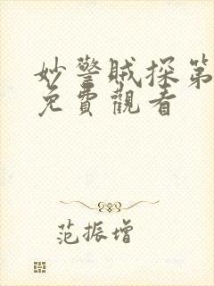 妙警贼探第三季免费观看