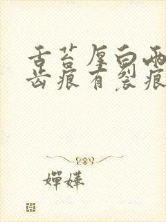 舌苔厚白两侧有齿痕有裂痕