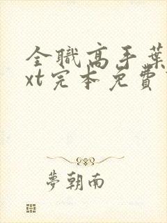 全职高手叶修txt完本免费下载封面