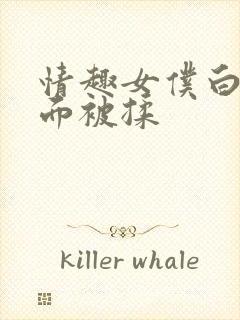 情趣女仆白丝下面被揉