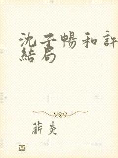 沈子畅和许言的结局封面