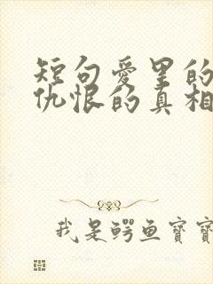 短句爱里的谎言仇恨的真相