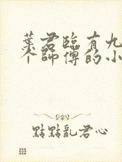 叶君临有九十九个师傅的小说