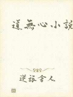 道无心小说封面