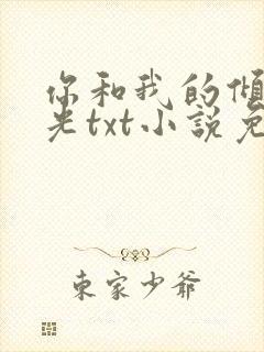 你和我的倾城时光txt小说免费阅读封面