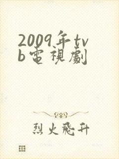 2009年tvb电视剧