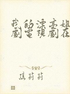 我的漂亮姐姐韩剧电视剧在线观看封面