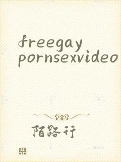 freegaypornsexvideo
