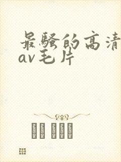 最骚的高清免费av毛片