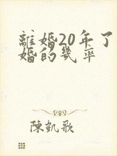 离婚20年了复婚的几率