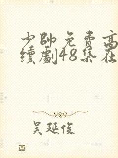 少帅免费高清连续剧48集在线观看封面