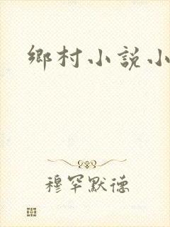 乡村小说小农民