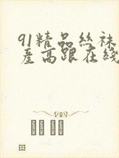 91精品丝袜国产高跟在线