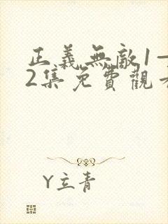 正义无敌1—42集免费观看