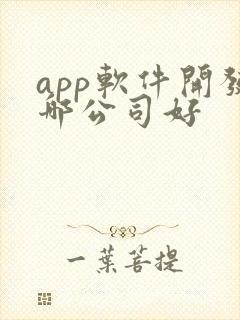 app软件开发哪公司好