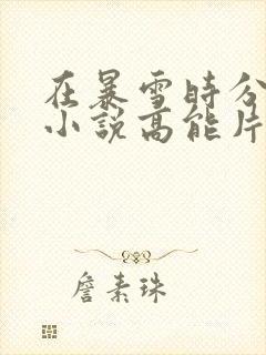 在暴雪时分原著小说高能片段