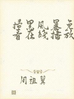 扫黑风暴免费观看在线播放封面