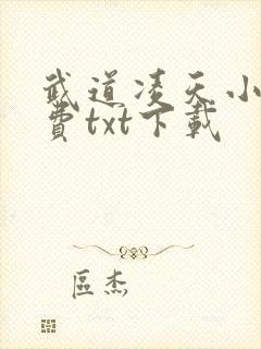 武道凌天小说免费txt下载