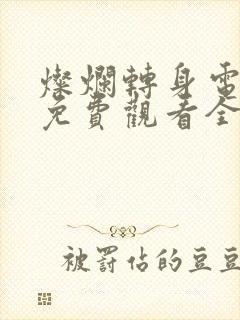 灿烂转身电视剧免费观看全集