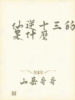 仙逆十三的结局是什么