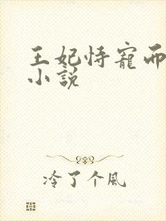 王妃恃宠而骄的小说