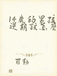 14岁的男孩叛逆期该怎么教