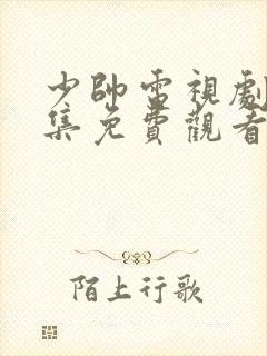 少帅电视剧48集免费观看高清