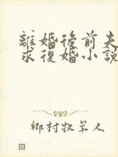 离婚后前夫哭着求复婚小说阅读全部