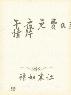 午夜免费a爽激情片