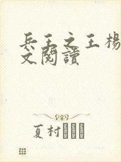 兵王之王杨奇全文阅读